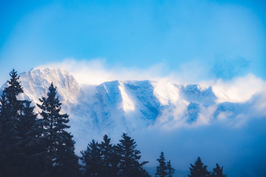 Sommet de montagne émergeant de la brume, entouré de sapins